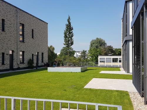 Green roof with lawn